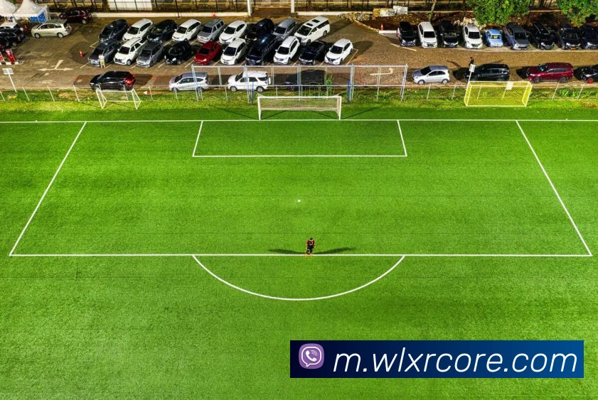 威廉希尔平台生态图