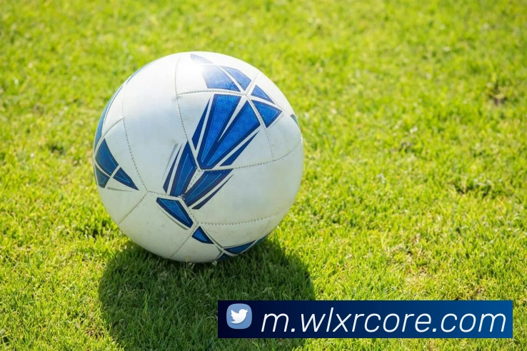 威廉希尔APP 封面图