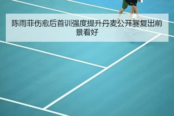 陈雨菲伤愈后首训强度提升丹麦公开赛复出前景看好 - williamhill